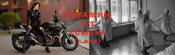 прущие крисы Аркадак