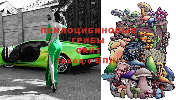 прущие крисы Аркадак