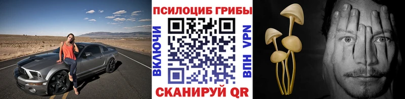 Галлюциногенные грибы прущие грибы  MEGA маркетплейс  Урюпинск  закладка 